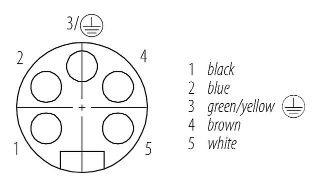 Pólus ábra (csatlakozó oldal) 7/8" panelre szerelhető foglalat, : 4+PE, árnyékolatlan, sodrott vezeték, IP68, UL 2238, VDE, elülső rögzítés