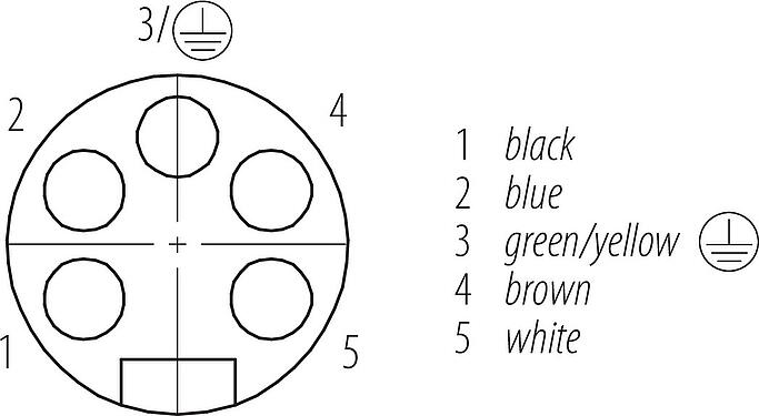 Contactconfiguratie (Insteekbereik) 7/8" Female haakse connector, aantal polen: 5, onafgeschermd, aan de kabel aangegoten, IP68, UL 2238, PUR, zwart, 5 x 1,50 mm², 10 m