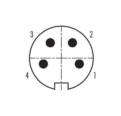 Disposition des contacts (Côté plug-in) Push Pull Connecteur mâle, Contacts: 4, 4,0-8,0 mm, blindable, souder, IP67