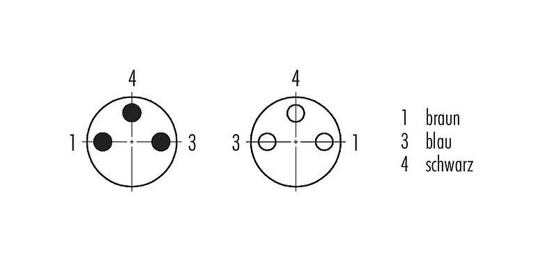 Polbild (Steckseite) M8 Verbindungsleitung Kabelstecker - Kabeldose, Polzahl: 3, ungeschirmt, am Kabel angespritzt, IP67/IP69K, UL 2238, PUR, schwarz, 3 x 0,34 mm², 2 m
