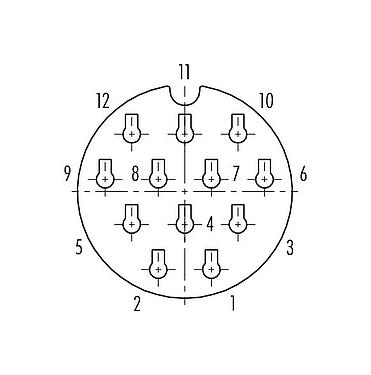 Disposizione dei contatti (lato connessione) Baionetta Connettore cavo femmina, Numero poli: 12, 7,0-13,0 mm, non schermato, crimpare (I contatti a crimpare devono essere ordinati separatamente), IP68/IP69K, UL 2238, VDE, UV-Beständig