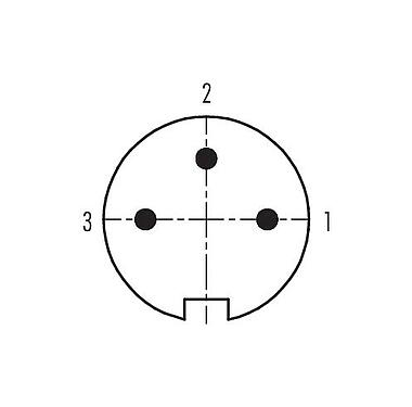Polbild (Steckseite) 99 4805 00 03 - Push Pull Kabelstecker, Polzahl: 3, 4,0-8,0 mm, schirmbar, löten, IP67