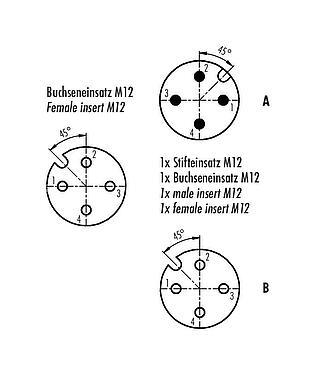 Polbild (Steckseite) M12 Zweifachverteiler, Y-Verteiler, Stecker - 2 Dosen, Polzahl: 4, ungeschirmt, steckbar, IP68, UL 2238
