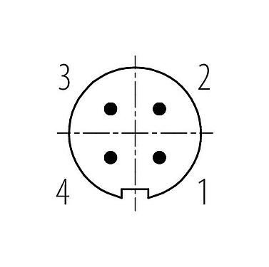 Polbild (Steckseite) 99 0079 102 04 - M9 Kabelstecker, Polzahl: 4, 4,0-5,0 mm, ungeschirmt, löten, IP40