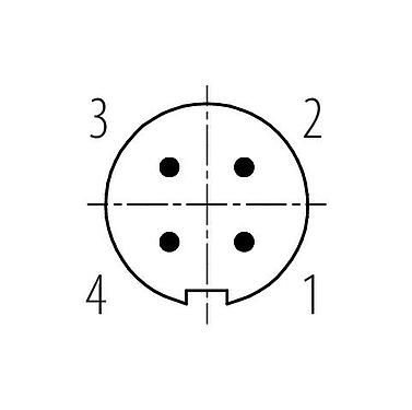 Contact arrangement (Plug-in side) M9 Male cable connector, Contacts: 4, 4.0-5.0 mm, unshielded, solder, IP40
