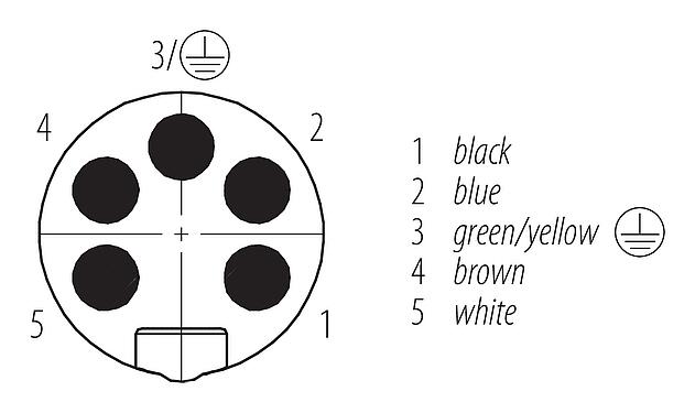 联系安排 (外掛程式側) 7/8" 针头法兰座, 极数: 4+PE, 非屏蔽, 带导线, IP68, UL 2238, VDE, M20x1.5, 板前安装