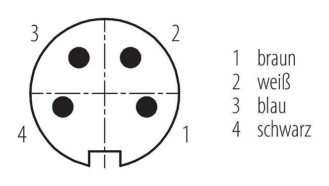 Polbild (Steckseite) M16 Kabelstecker, Polzahl: 4, ungeschirmt, am Kabel angespritzt, IP67, PUR, schwarz, 4 x 0,34 mm², 5 m
