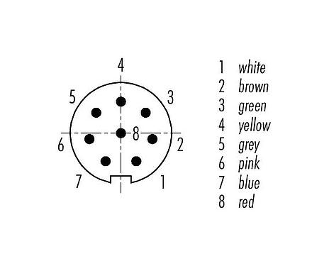 Disposition des contacts (Côté plug-in) M9 Connecteur mâle, Contacts: 8, blindé, surmoulé sur le câble, IP67, PUR, noir, 8 x 0,14 mm², 5 m