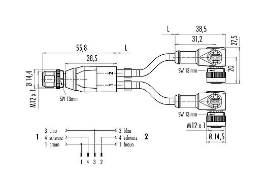 Maßzeichnung M12 Kabelsplitter Kabelstecker - 2 Winkeldosen, Polzahl: 4/3, ungeschirmt, am Kabel angespritzt, IP68, UL 2238, PUR, schwarz, 3 x 0,34 mm², mit LED PNP, 1 m