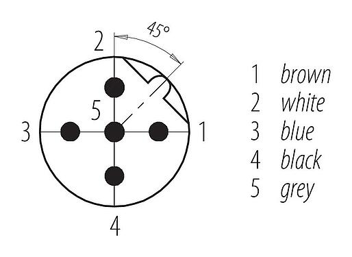 Pólus ábra (csatlakozó oldal) M12 panelre szerelhető csatlakozó, : 5, árnyékolatlan, sodrott vezeték, IP68, UL 2238, PG 9, elülső rögzítés