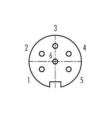 Polbild (Steckseite) 09 0124 300 06 - M16 Vierkant-Flanschdose, Polzahl: 6 (06-a), ungeschirmt, löten, IP67, UL