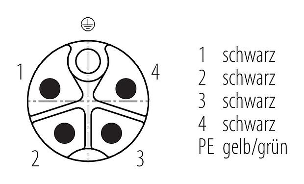 Disposition des contacts (Côté plug-in) M12 Embase mâle, Contacts: 4+PE, non blindé, fils, IP68, M16x1,5, Montage frontal, UL 2237 en préparation, coulé