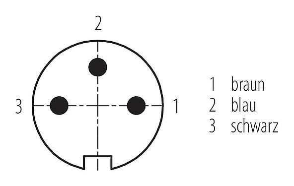 Polbild (Steckseite) M16 Kabelstecker, Polzahl: 3, ungeschirmt, am Kabel angespritzt, IP67, PUR, schwarz, 3 x 0,34 mm², 5 m
