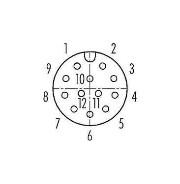 Disposizione dei contatti (lato connessione) M12 Connettore angolare femmin, Numero poli: 12, 6,0-8,0 mm, schermabile, saldare, IP67, UL 2238, con anello di schermatura