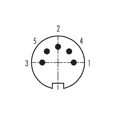Disposition des contacts (Côté plug-in) 99 2017 09 05 - M16 Connecteur mâle, Contacts: 5 (05-b), 4,0-6,0 mm, blindable, souder, IP40