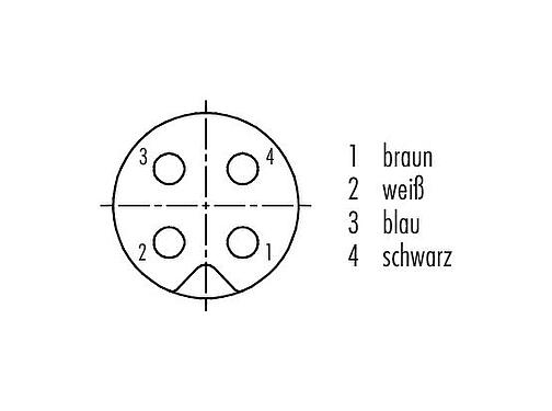 Polbild (Steckseite) M5 Flanschdose, Polzahl: 4, ungeschirmt, Litzen, IP67, M5x0,5, Frontmontage