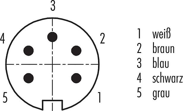 Polbild (Steckseite) M16 Kabelstecker, Polzahl: 5 (05-a), ungeschirmt, am Kabel angespritzt, IP67, PUR, schwarz, 5 x 0,25 mm², 2 m