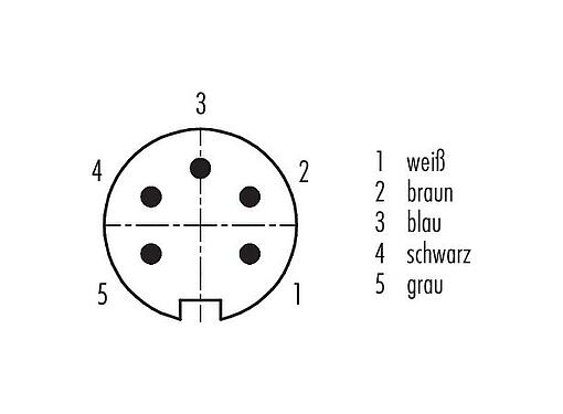 Polbild (Steckseite) M16 Kabelstecker, Polzahl: 5 (05-a), geschirmt, am Kabel angespritzt, IP67, PUR, schwarz, 5 x 0,25 mm², 2 m
