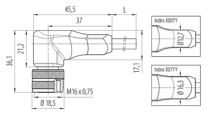 Scale drawing M16 Female angled connector, Contacts: 7 (07-b), unshielded, moulded on the cable, IP67, PUR, black, 7 x 0.25 mm², 2 m