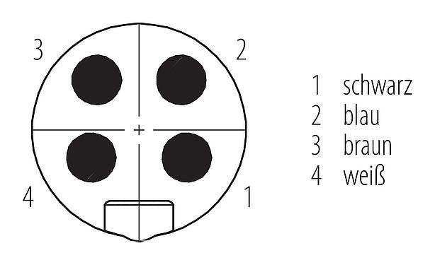 Polbild (Steckseite) 7/8" Kabelstecker, Polzahl: 4, ungeschirmt, am Kabel angespritzt, IP68, UL 2238, PUR, schwarz, 4 x 1,50 mm², 2 m
