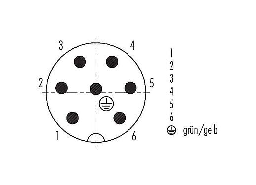 Polbild (Steckseite) RD24 Kabelstecker, Polzahl: 6+PE, 6,0-8,0 mm, ungeschirmt, crimpen (Crimpkontakte müssen separat bestellt werden), IP67, UL, ESTI+, VDE, PG 9