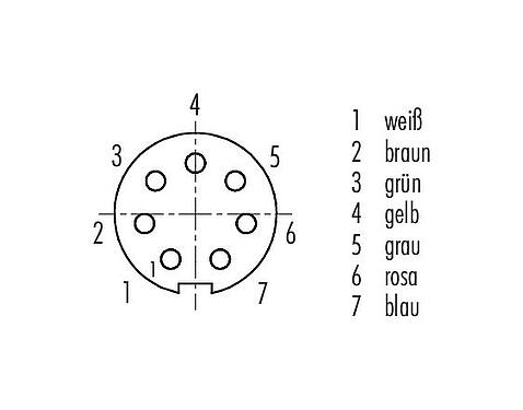 Polbild (Steckseite) M9 Kabeldose, Polzahl: 7, geschirmt, am Kabel angespritzt, IP67, PUR, schwarz, 8 x 0,14 mm², 2 m