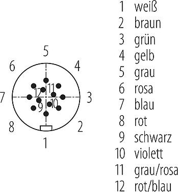 Polbild (Steckseite) Snap-In Kabelstecker, Polzahl: 12, ungeschirmt, am Kabel angespritzt, IP67, UL 2238, PUR, schwarz, 12 x 0,25 mm², 2 m
