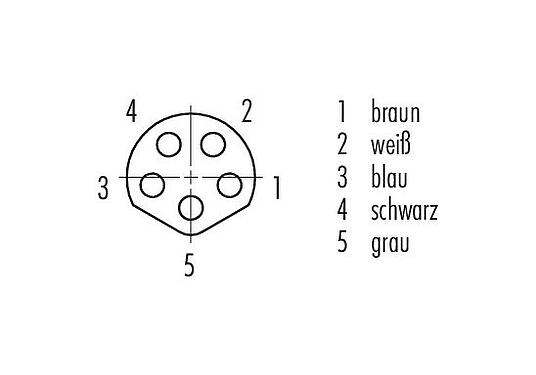 Polbild (Steckseite) M8 Flanschdose, Polzahl: 5, ungeschirmt, Litzen, IP67, UL 2238, M10x0,75, Rückwandmontage, vergossen