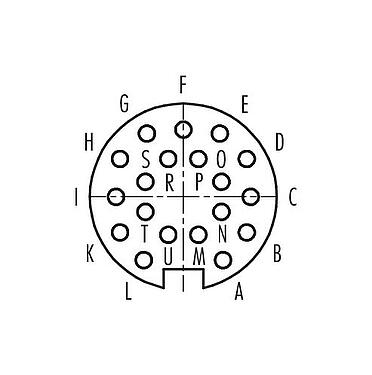 Polbild (Steckseite) Push Pull Flanschdose, Polzahl: 19, schirmbar, löten, IP67, M21x1,0, Rückwandmontage