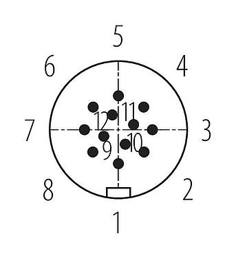 Polbild (Steckseite) Snap-In Kabelstecker, Polzahl: 12, 6,0-8,0 mm, ungeschirmt, löten, IP67