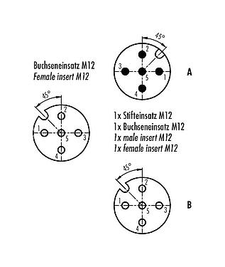 Polbild (Steckseite) 79 5212 00 05 - M12 Zweifachverteiler, Y-Verteiler, Stecker M12x1 - 2 Dosen M12x1, Polzahl: 5, ungeschirmt, steckbar, IP68, UL