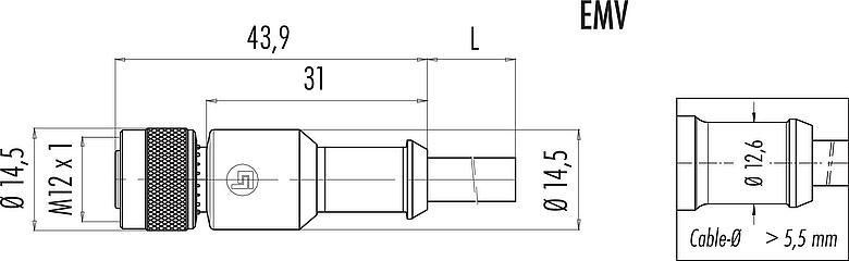 Scale drawing M12 Female cable connector, Contacts: 3, shielded, moulded on the cable, IP67, UL 2238, PVC, grey, 3 x 0.34 mm², 2 m