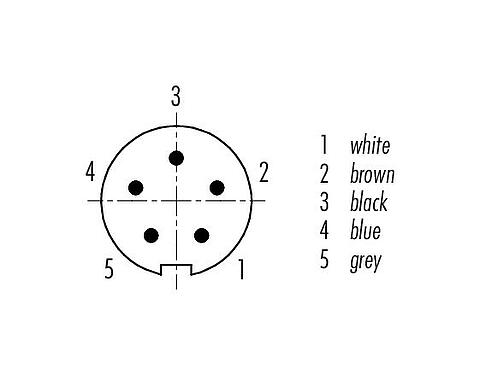 Contactconfiguratie (Insteekbereik) M9 Male haakse connector, aantal polen: 5, onafgeschermd, aan de kabel aangegoten, IP67, PUR, zwart, 5 x 0,25 mm², 5 m