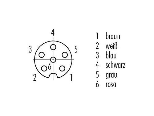 Polbild (Steckseite) M8 Flanschdose, Polzahl: 6, ungeschirmt, Litzen, IP67, UL 2238, M10x0,75, Frontmontage, vergossen