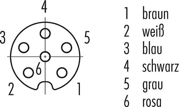 Polbild (Steckseite) M8 Kabeldose, Polzahl: 6, ungeschirmt, am Kabel angespritzt, IP67/IP69K, UL 2238, PUR, schwarz, 6 x 0,25 mm², 5 m