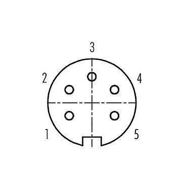 コンタクト配列（接続側） 09 0116 290 05 - M16 メスパネルマウントコネクタ, 極数: 5 (05-a), シールド可能, THT, IP67, UL, 前面取り付け