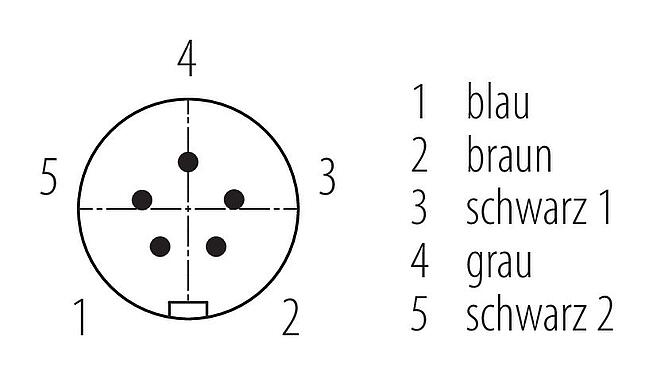 Polbild (Steckseite) Snap-In Kabelstecker, Polzahl: 5, ungeschirmt, am Kabel angespritzt, IP67, VDE, PUR, schwarz, 5 x 0,75 mm², 2 m
