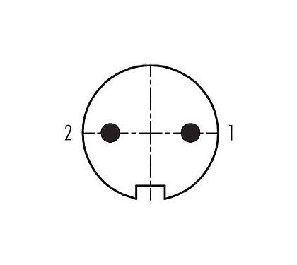 Disposition des contacts (Côté plug-in) 09 0101 70 02 - M16 Connecteur mâle, Contacts: 2 (02-a), 6,0-8,0 mm, non blindé, souder, IP67