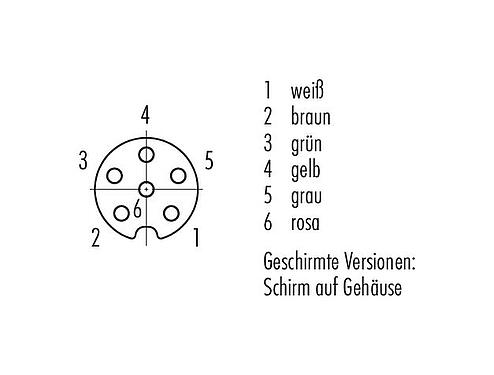 Polbild (Steckseite) M8 Kabeldose, Polzahl: 6, geschirmt, am Kabel angespritzt, IP67/IP69K, M8x1,0, PUR, schwarz, 6 x 0,25 mm², 5 m