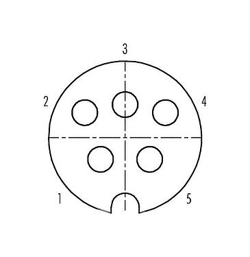 Disposizione dei contatti (lato connessione) M25 Connettore cavo femmina, Numero poli: 5, 5,0-8,0 mm, schermabile, saldare, IP40
