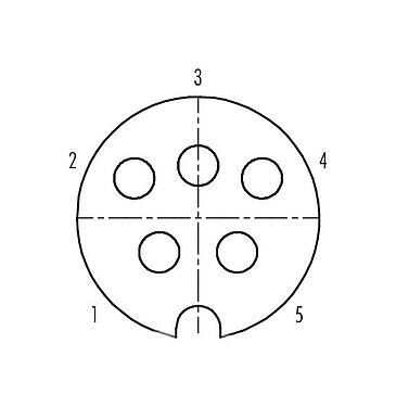 Contactconfiguratie (aansluitzijde) 09 0038 00 05 - M25 Kabeldoos, aantal polen: 5, 5,0-8,0 mm, schermbaar, soldeer, IP40