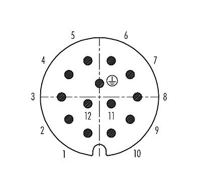 コンタクト配列（接続側） 99 0717 72 13 - RD30 オスアングルコネクタ, 極数: 12+PE, 12.0-14.0mm, 非シールド, はんだ, IP65