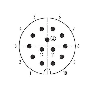 Polbild (Steckseite) RD30 Kabelstecker, Polzahl: 12+PE, 14,0-18,0 mm, ungeschirmt, löten, IP65