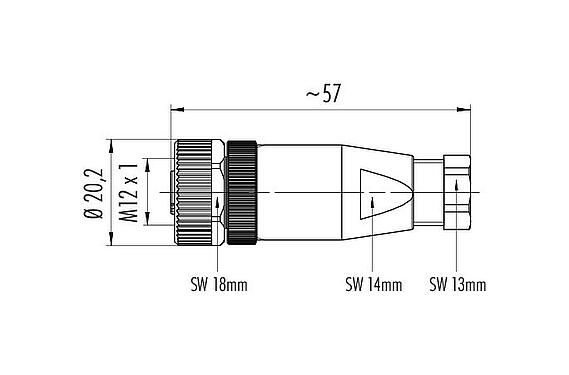 스케일 드로잉 M12 케이블 소켓, 콘택트 렌즈: 4, 4.0-6.0mm, 차폐되지 않음, 크림프(크림프 접점은 별도로 주문해야 함), IP67, UL 2238