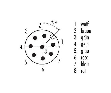 Polbild (Steckseite) M12 Kabelstecker, Polzahl: 8, ungeschirmt, am Kabel angespritzt, IP67/IP69K, UL 2238, PUR, schwarz, 8 x 0,25 mm², Edelstahl, 2 m