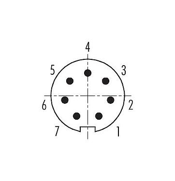 Polbild (Steckseite) 99 0421 70 07 - M9 Winkelstecker, Polzahl: 7, 3,5-5,0 mm, ungeschirmt, löten, IP67