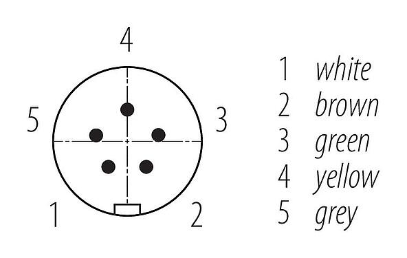 联系安排 (外掛程式側) Snap-in 快插 直头针头电缆连接器, 极数: 5, 非屏蔽, 预铸电缆, IP67, UL 2238, PUR, 黑色, 5x0.75mm², 2m