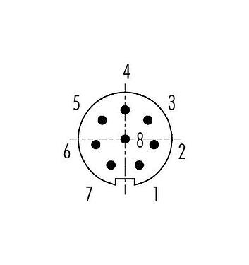 Polbild (Steckseite) Bajonett Kabelstecker, Polzahl: 8, 3,0-4,0 mm, ungeschirmt, löten, IP40