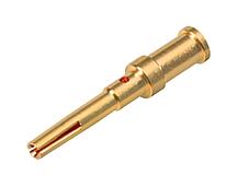 Zubehör--Crimpkontakt_M12_Crimp_Dose