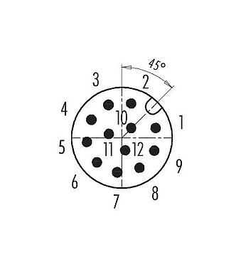 Disposition des contacts (Côté plug-in) M12 Connecteur mâle, Contacts: 12, 8,0-10,0 mm, blindable, souder, IP67, UL 2238, avec anneau de protection